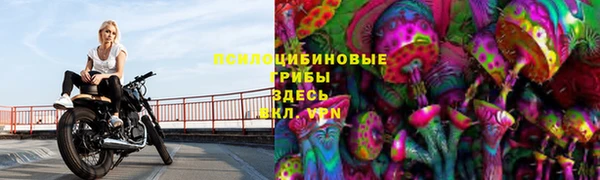 гашик Алзамай
