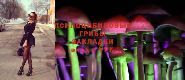гашик Алзамай