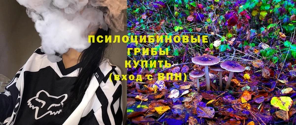 гашик Алзамай
